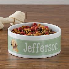 Pet Bowl