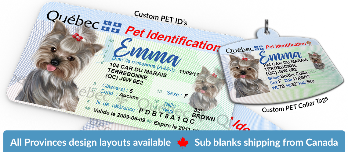 Pet Tags and ID Cards