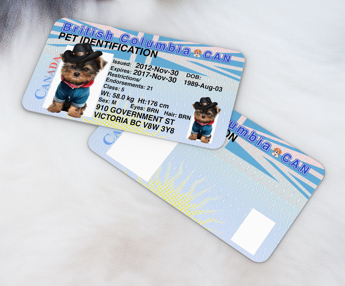 Pet Tags and ID Cards