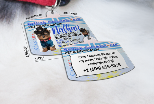 Pet Tags and ID Cards